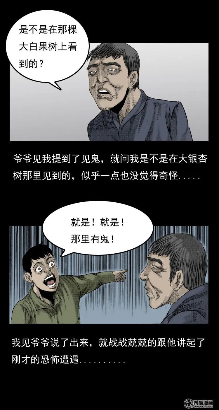 《三老爷惊奇手札》漫画最新章节29 古树免费下拉式在线观看章节第【6】张图片