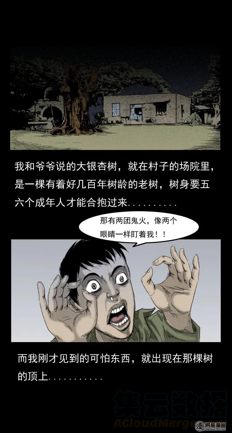 《三老爷惊奇手札》漫画最新章节29 古树免费下拉式在线观看章节第【7】张图片