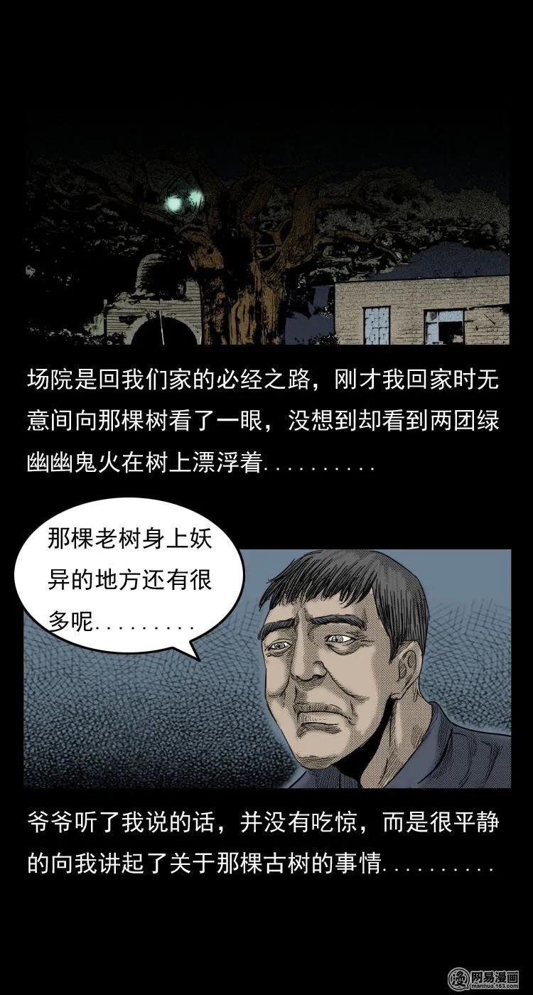 《三老爷惊奇手札》漫画最新章节29 古树免费下拉式在线观看章节第【8】张图片