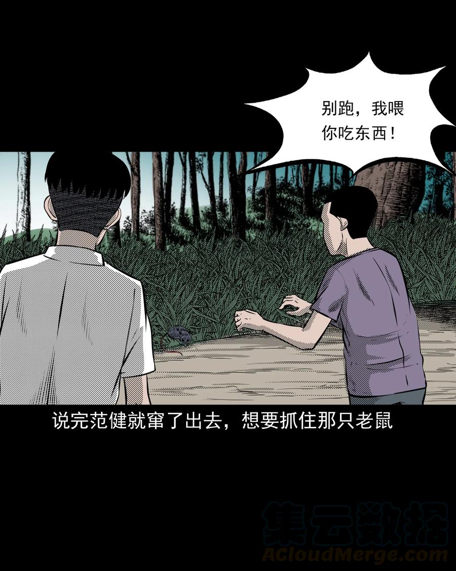 《三老爷惊奇手札》漫画最新章节282 老鼠成仙免费下拉式在线观看章节第【13】张图片