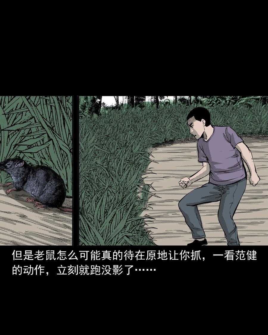 《三老爷惊奇手札》漫画最新章节282 老鼠成仙免费下拉式在线观看章节第【14】张图片