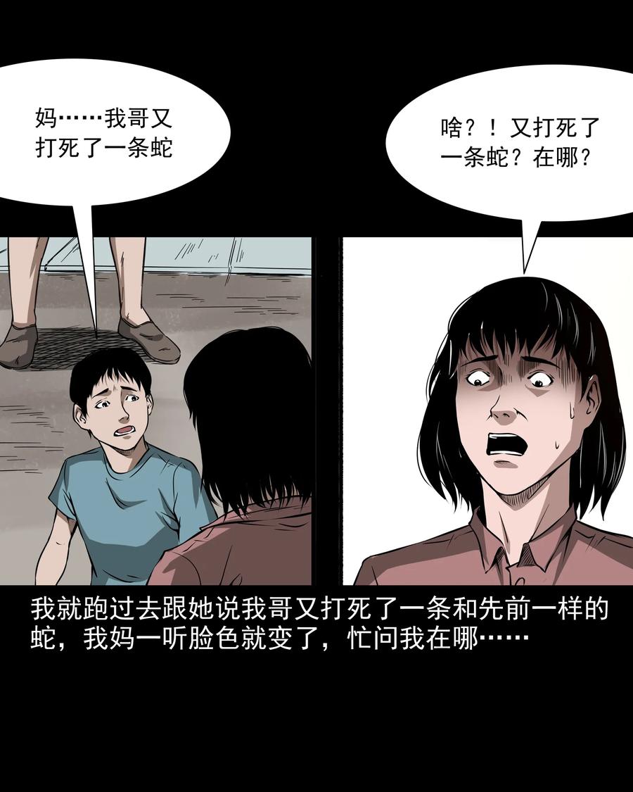 《三老爷惊奇手札》漫画最新章节291 蛇祸免费下拉式在线观看章节第【23】张图片