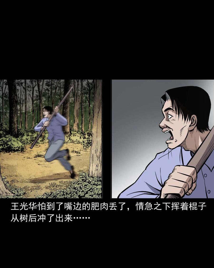 《三老爷惊奇手札》漫画最新章节332 贪心的教训免费下拉式在线观看章节第【24】张图片