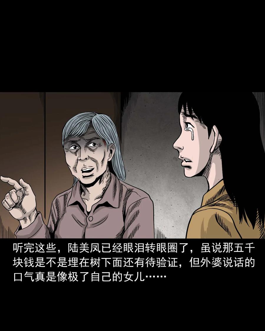 《三老爷惊奇手札》漫画最新章节343 外婆的病免费下拉式在线观看章节第【84】张图片