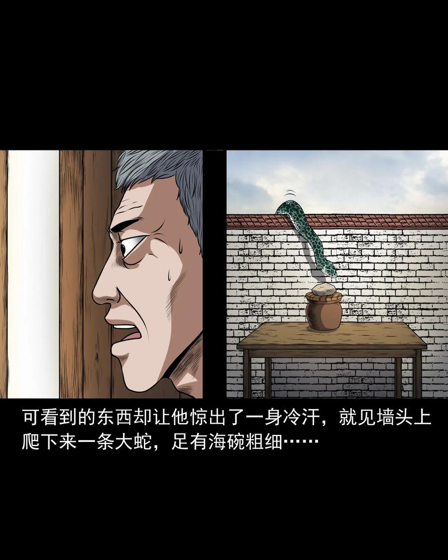 《三老爷惊奇手札》漫画最新章节357 老烟鬼（十七）免费下拉式在线观看章节第【22】张图片