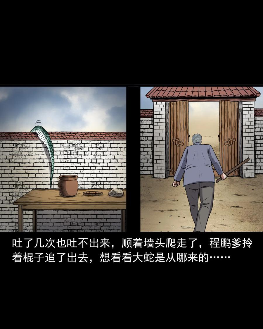 《三老爷惊奇手札》漫画最新章节357 老烟鬼（十七）免费下拉式在线观看章节第【32】张图片