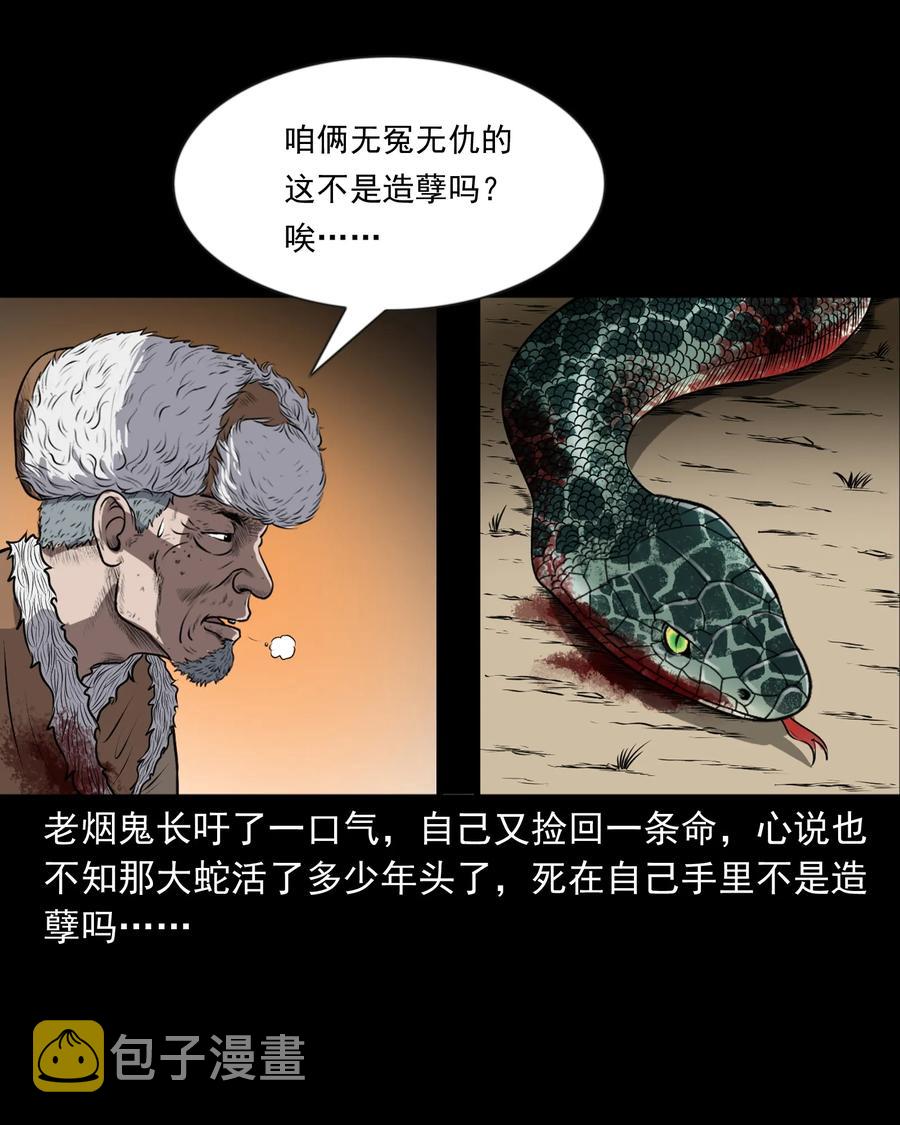 《三老爷惊奇手札》漫画最新章节359 老烟鬼（十八）免费下拉式在线观看章节第【28】张图片