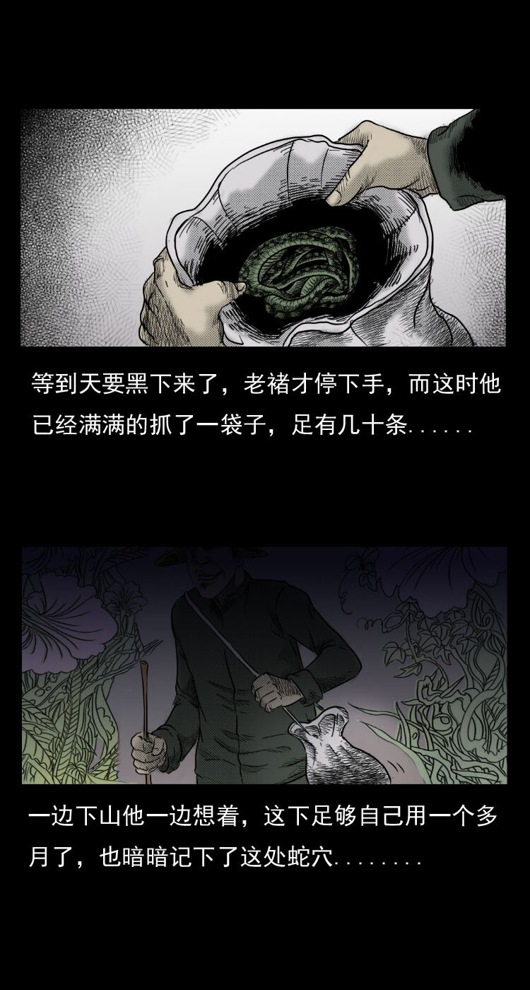 《三老爷惊奇手札》漫画最新章节5 活蛇酒免费下拉式在线观看章节第【13】张图片