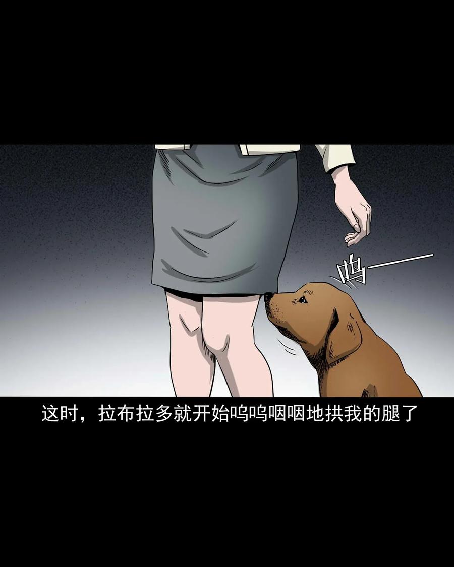 《三老爷惊奇手札》漫画最新章节412 找狗人免费下拉式在线观看章节第【20】张图片