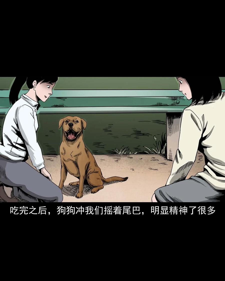 《三老爷惊奇手札》漫画最新章节412 找狗人免费下拉式在线观看章节第【26】张图片