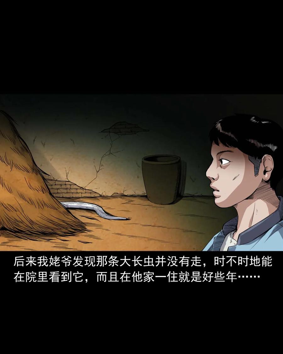 《三老爷惊奇手札》漫画最新章节436 保家仙免费下拉式在线观看章节第【20】张图片