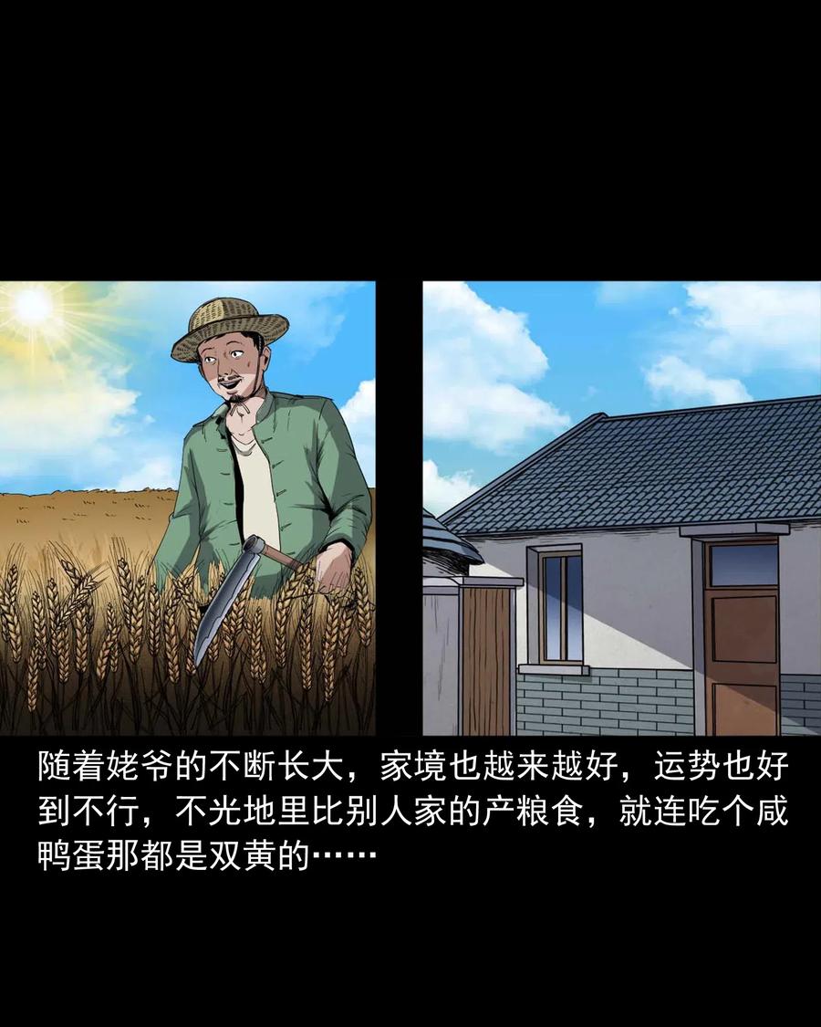 《三老爷惊奇手札》漫画最新章节436 保家仙免费下拉式在线观看章节第【27】张图片