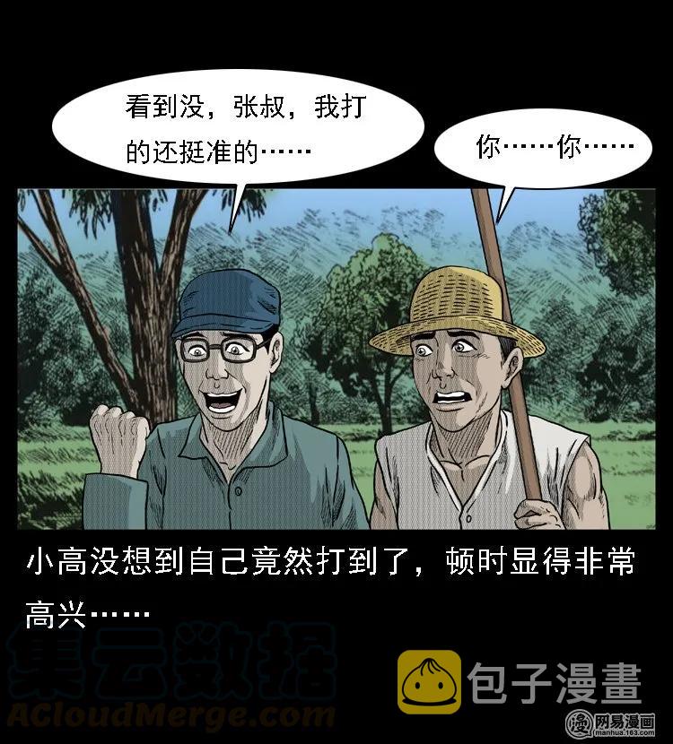 《三老爷惊奇手札》漫画最新章节45 富一刀降妖免费下拉式在线观看章节第【17】张图片