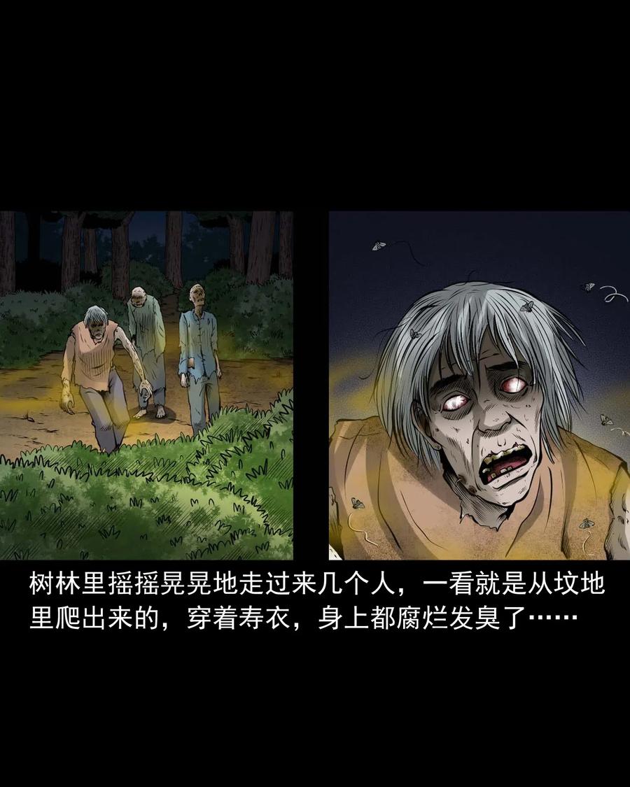 《三老爷惊奇手札》漫画最新章节445 老烟鬼61免费下拉式在线观看章节第【34】张图片