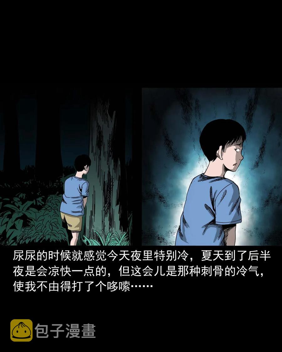 《三老爷惊奇手札》漫画最新章节446 镜中何人免费下拉式在线观看章节第【28】张图片