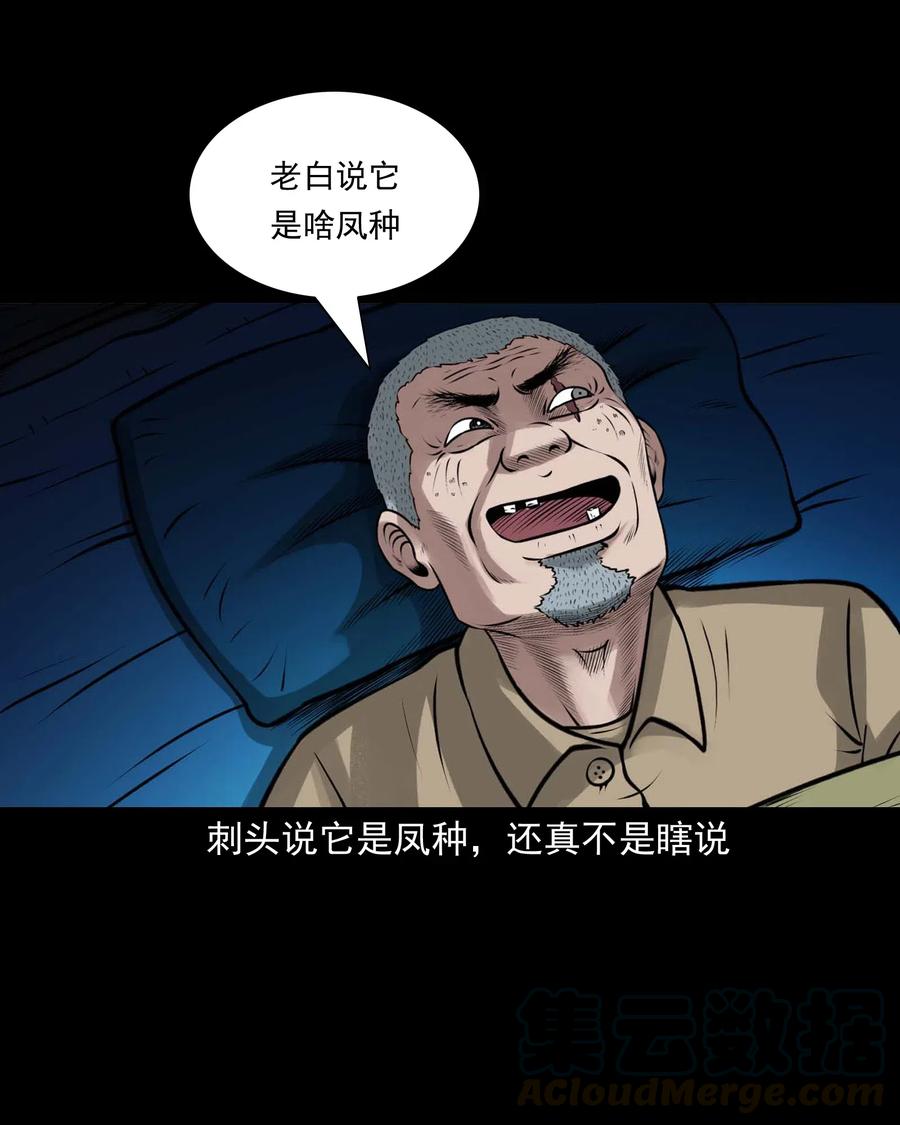 《三老爷惊奇手札》漫画最新章节488 老烟鬼82免费下拉式在线观看章节第【16】张图片