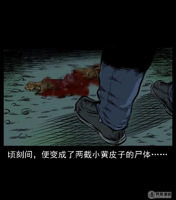 《三老爷惊奇手札》漫画最新章节52 富一刀战黄妖（中）免费下拉式在线观看章节第【46】张图片