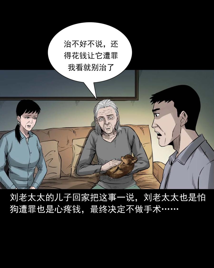 《三老爷惊奇手札》漫画最新章节509 狗命免费下拉式在线观看章节第【26】张图片