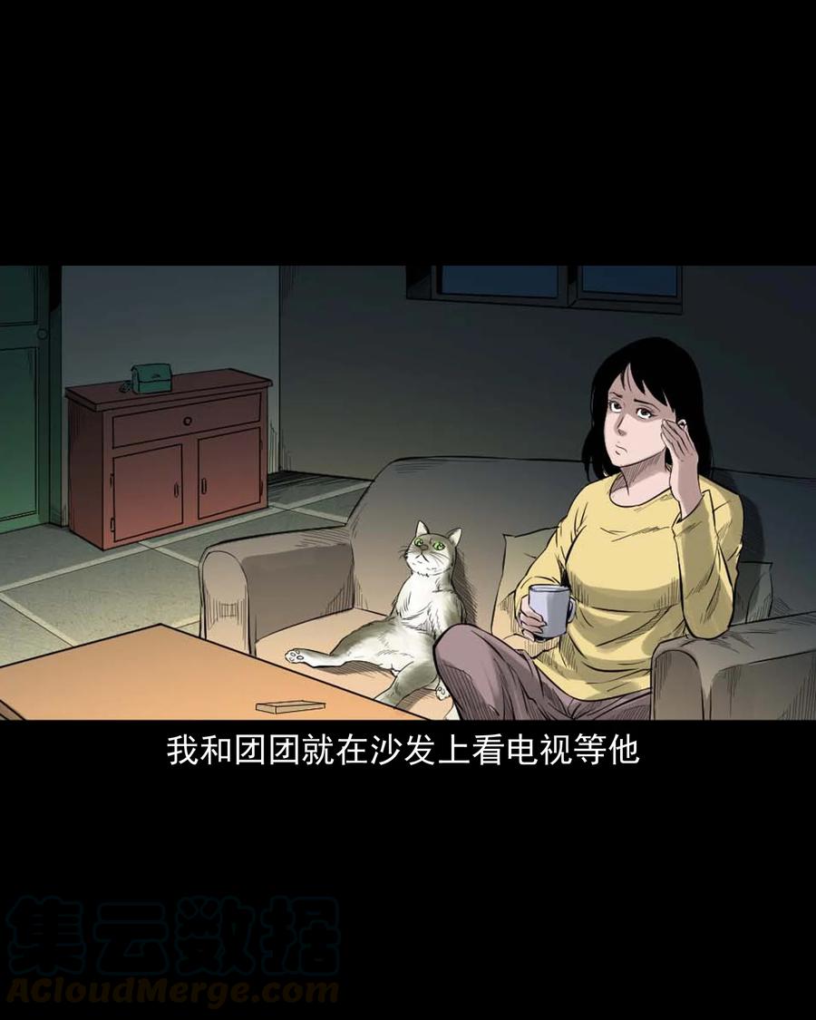 《三老爷惊奇手札》漫画最新章节511 猫看见了什么免费下拉式在线观看章节第【10】张图片