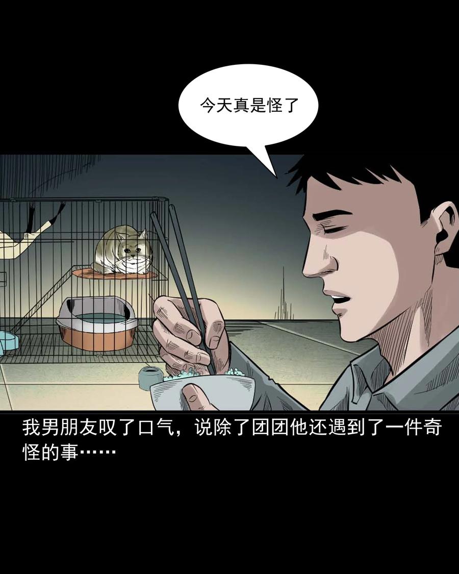 《三老爷惊奇手札》漫画最新章节511 猫看见了什么免费下拉式在线观看章节第【20】张图片