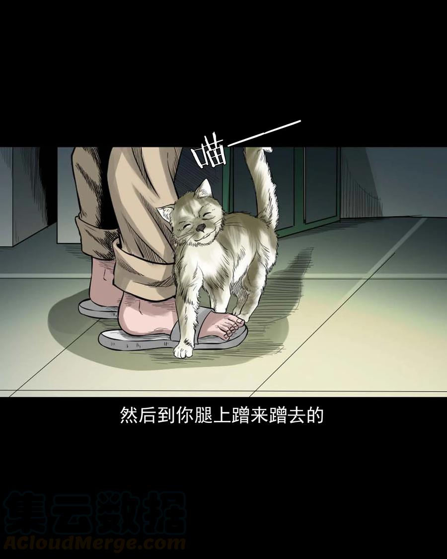 《三老爷惊奇手札》漫画最新章节511 猫看见了什么免费下拉式在线观看章节第【7】张图片