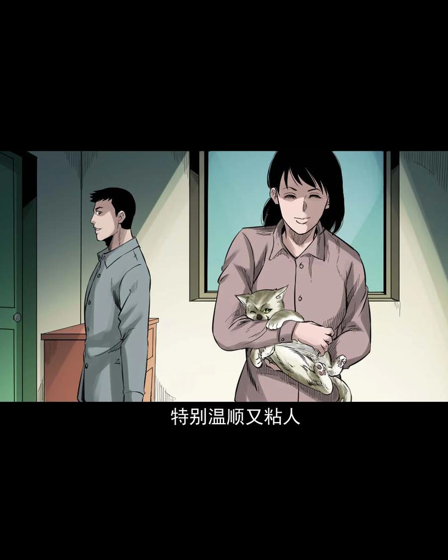 《三老爷惊奇手札》漫画最新章节511 猫看见了什么免费下拉式在线观看章节第【8】张图片