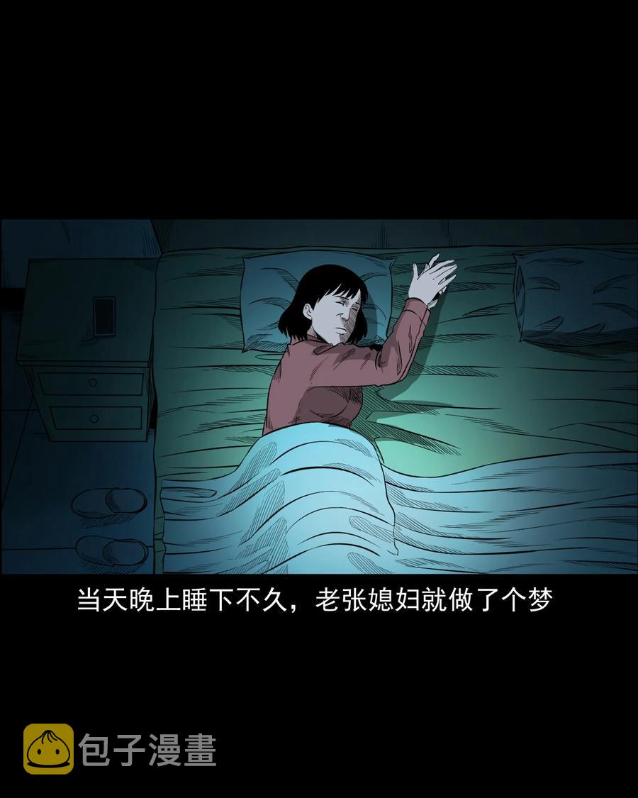 《三老爷惊奇手札》漫画最新章节523 送邪免费下拉式在线观看章节第【14】张图片