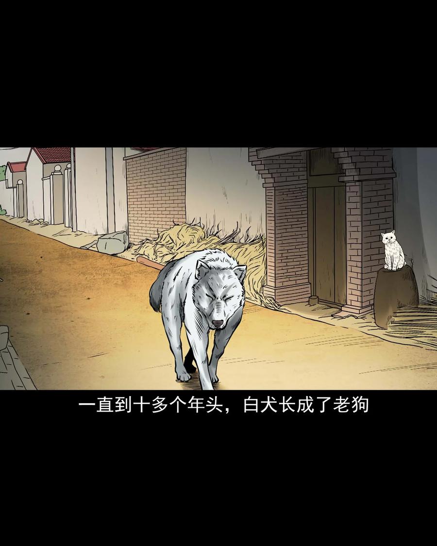 《三老爷惊奇手札》漫画最新章节532 老烟鬼103免费下拉式在线观看章节第【20】张图片