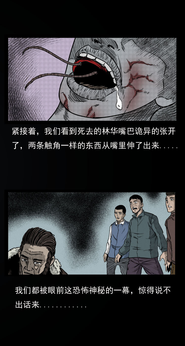 《三老爷惊奇手札》漫画最新章节7 雪山尸虫免费下拉式在线观看章节第【28】张图片