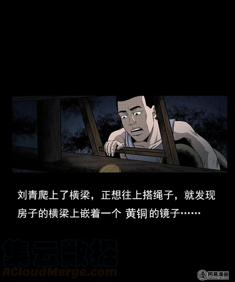 《三老爷惊奇手札》漫画最新章节78 照妖镜（上）免费下拉式在线观看章节第【41】张图片