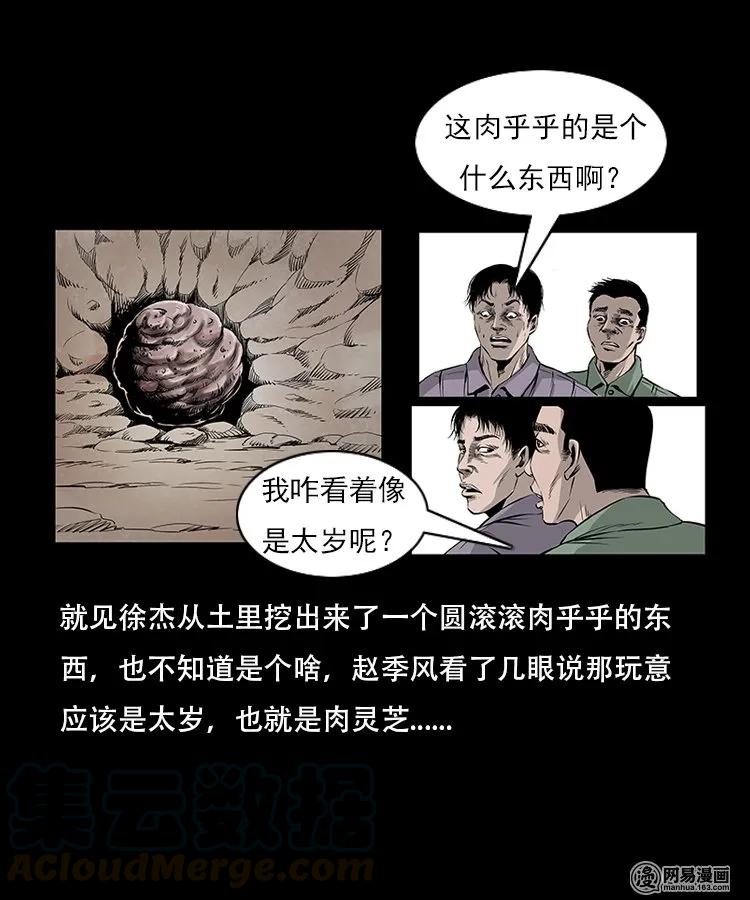 《三老爷惊奇手札》漫画最新章节92 邪太岁免费下拉式在线观看章节第【21】张图片