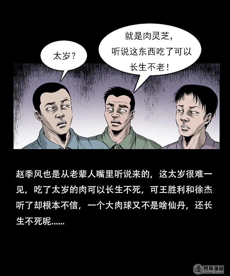 《三老爷惊奇手札》漫画最新章节92 邪太岁免费下拉式在线观看章节第【22】张图片