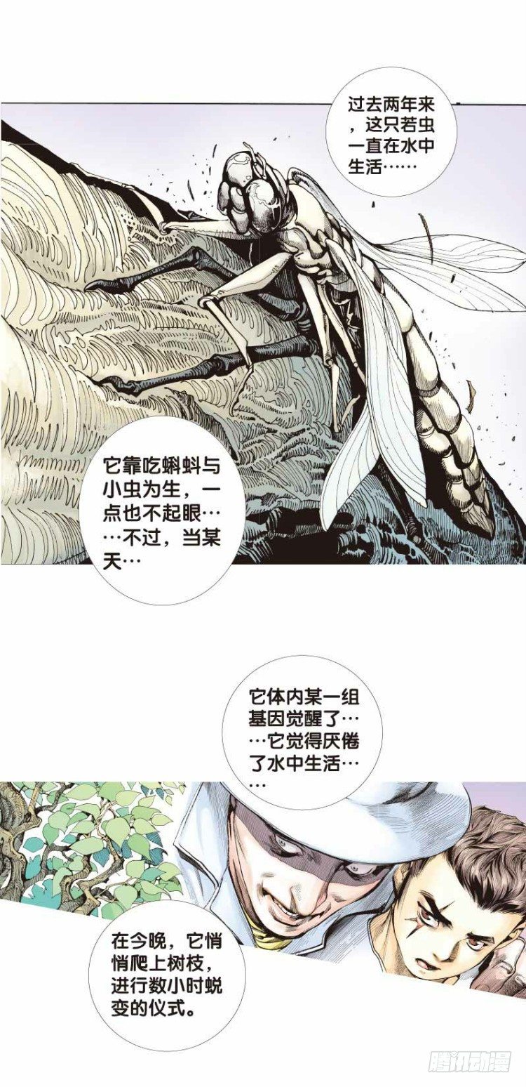 《杀道行者》漫画最新章节第二十六回：阿信的梦（三）免费下拉式在线观看章节第【11】张图片