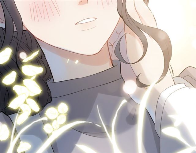 《闪婚总裁契约妻》漫画最新章节第220话 小野猫我们回家了免费下拉式在线观看章节第【28】张图片