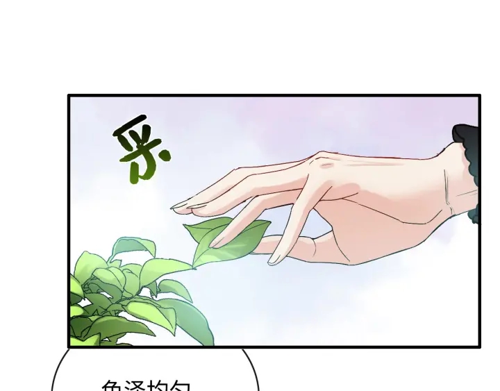 《闪婚总裁契约妻》漫画最新章节第337话 茶山的雨天免费下拉式在线观看章节第【14】张图片