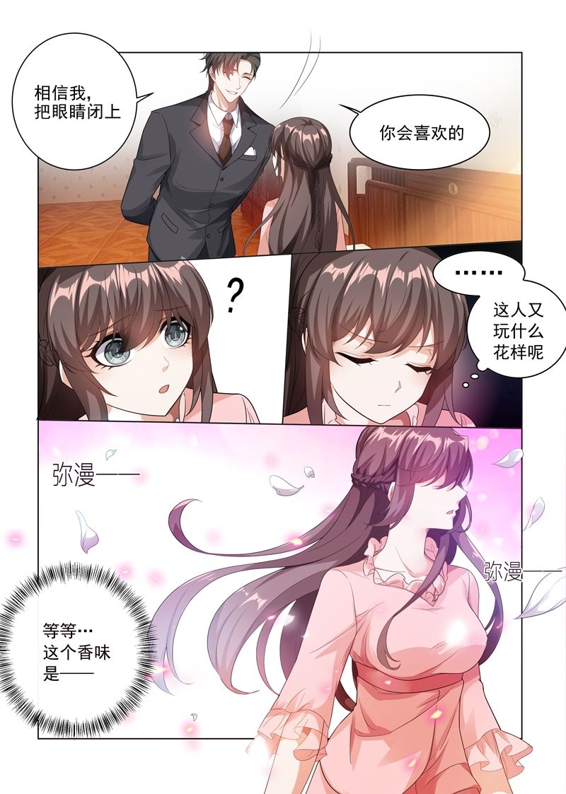 《少帅你老婆又跑了》漫画最新章节第184话 她比我的命还重要免费下拉式在线观看章节第【6】张图片