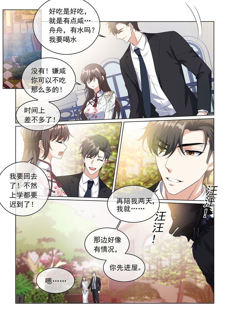 《少帅你老婆又跑了》漫画最新章节第229话 司行霈的生日免费下拉式在线观看章节第【7】张图片