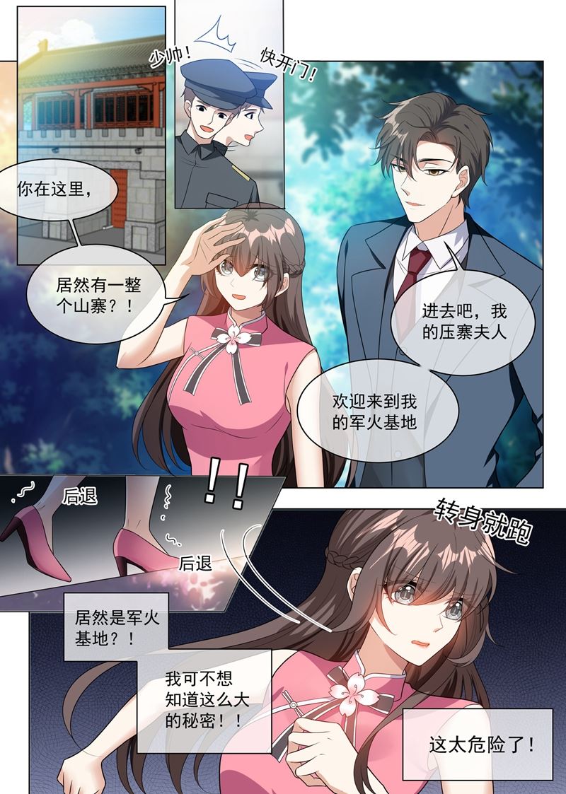 《少帅你老婆又跑了》漫画最新章节第246话 他的军火基地？免费下拉式在线观看章节第【8】张图片