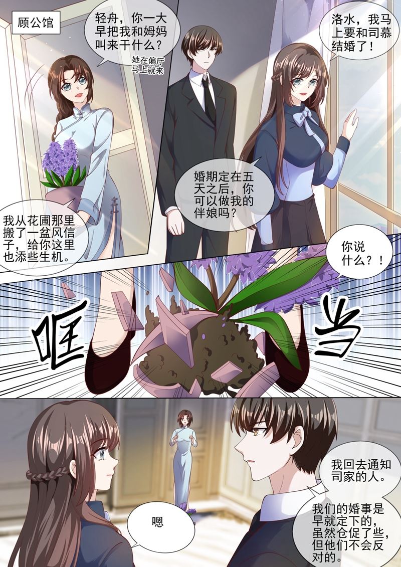 《少帅你老婆又跑了》漫画最新章节我的报复才刚刚开始免费下拉式在线观看章节第【6】张图片