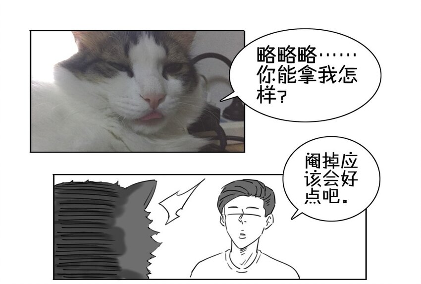 《杀手古德》漫画最新章节900 九百话纪念免费下拉式在线观看章节第【82】张图片