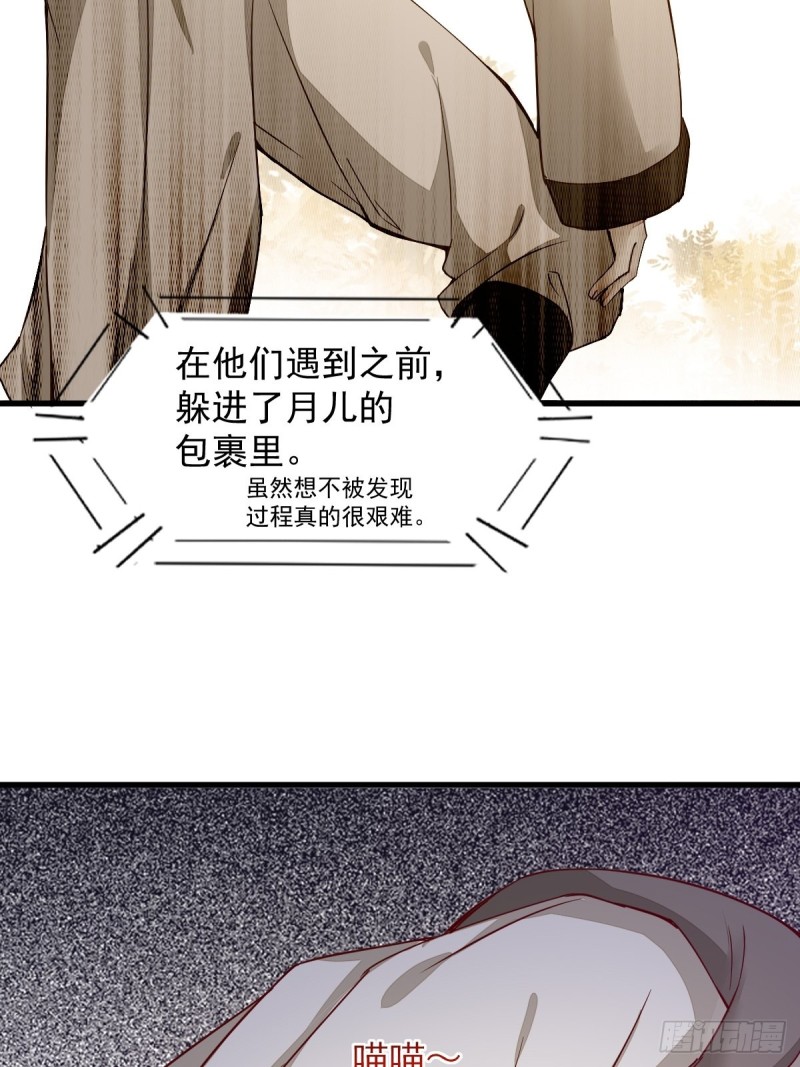 《杀手王妃不好惹》漫画最新章节31-情深免费下拉式在线观看章节第【15】张图片