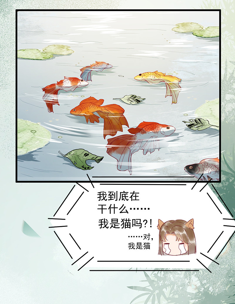 《杀手王妃不好惹》漫画最新章节37-一只逃跑喵免费下拉式在线观看章节第【11】张图片