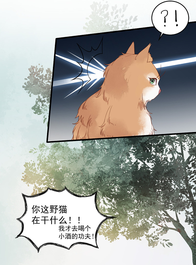 《杀手王妃不好惹》漫画最新章节37-一只逃跑喵免费下拉式在线观看章节第【14】张图片