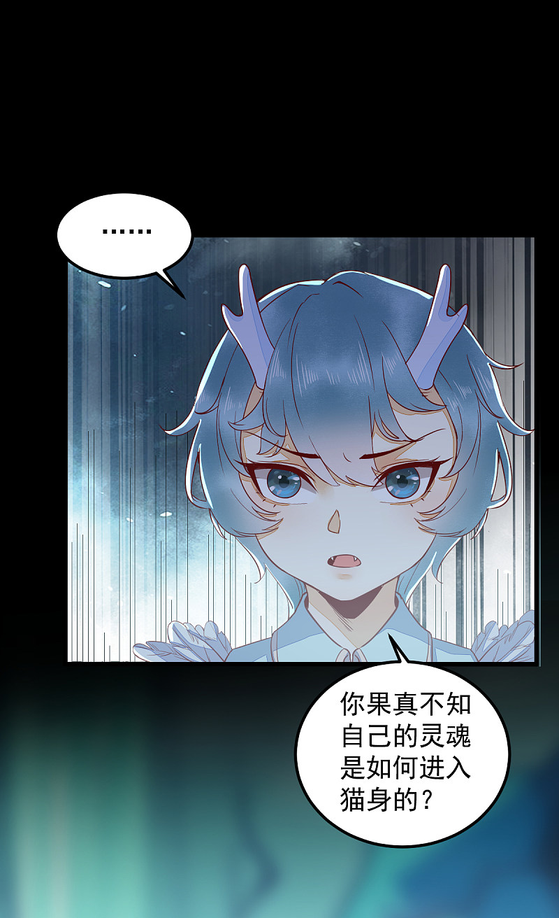 《杀手王妃不好惹》漫画最新章节43-北荒免费下拉式在线观看章节第【13】张图片