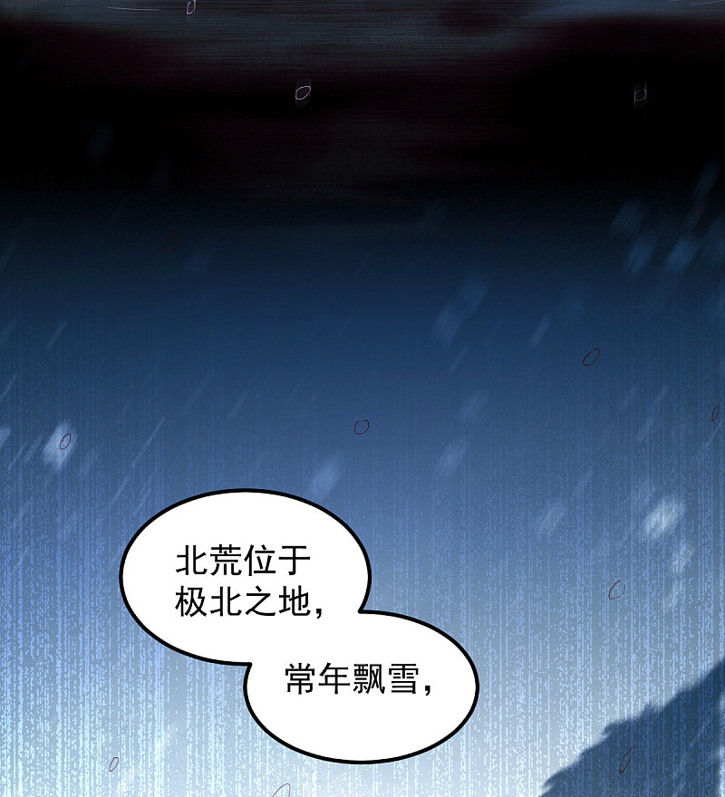 《杀手王妃不好惹》漫画最新章节43-北荒免费下拉式在线观看章节第【27】张图片