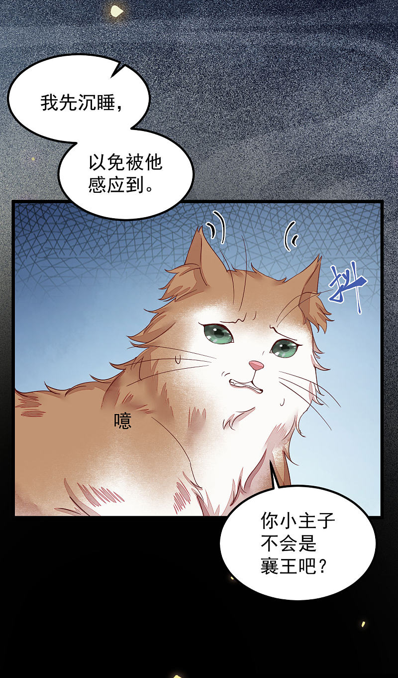 《杀手王妃不好惹》漫画最新章节44-莫喵遇百合免费下拉式在线观看章节第【24】张图片