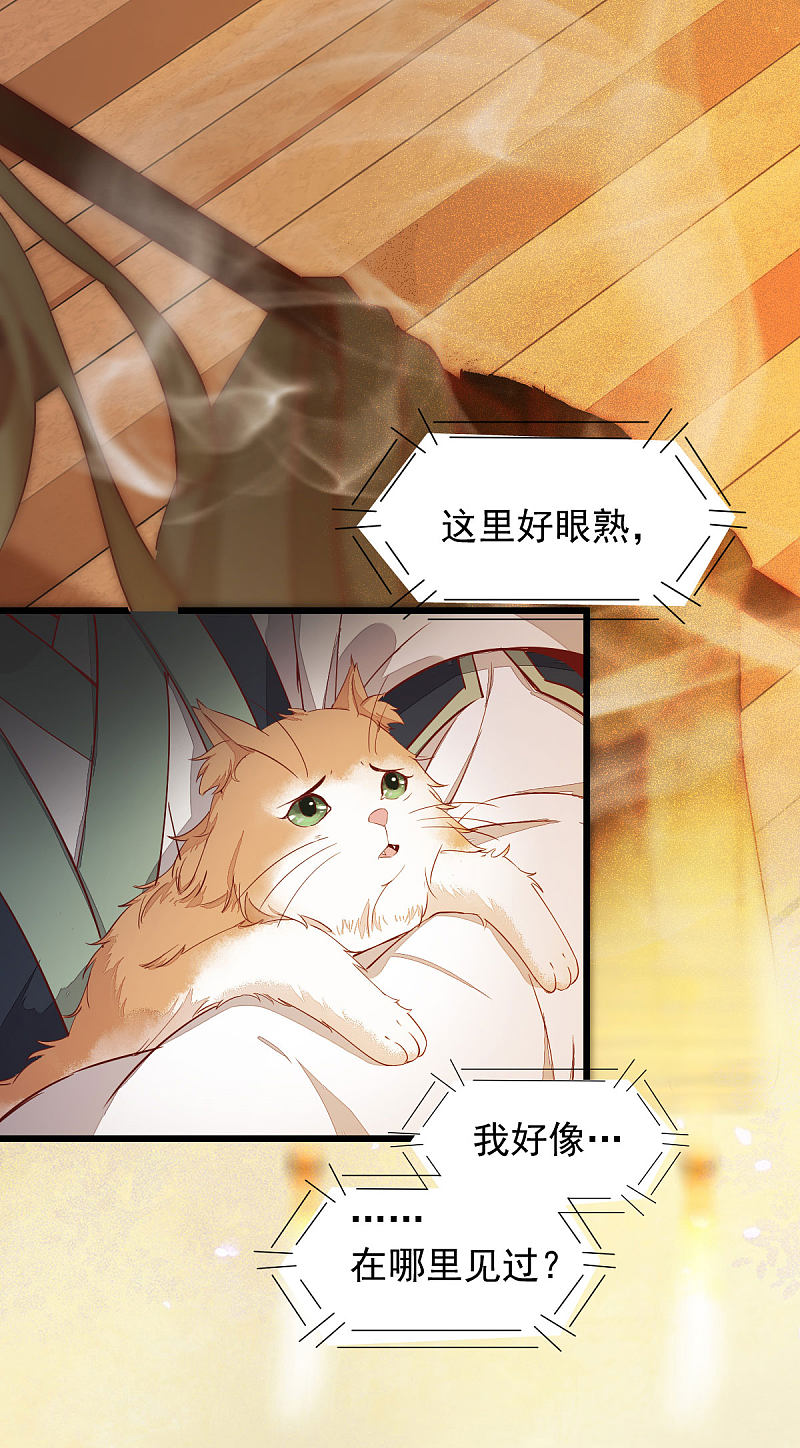 《杀手王妃不好惹》漫画最新章节47-前世记忆重叠免费下拉式在线观看章节第【10】张图片