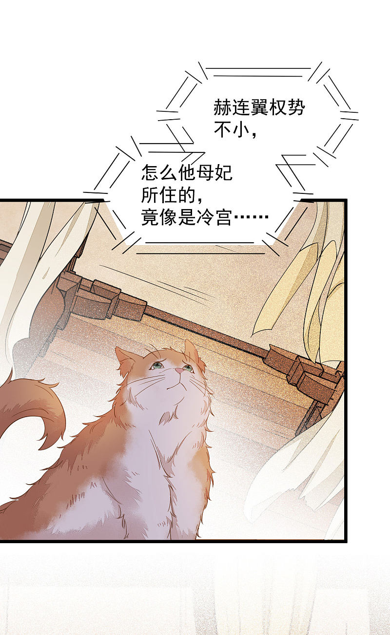 《杀手王妃不好惹》漫画最新章节47-前世记忆重叠免费下拉式在线观看章节第【13】张图片