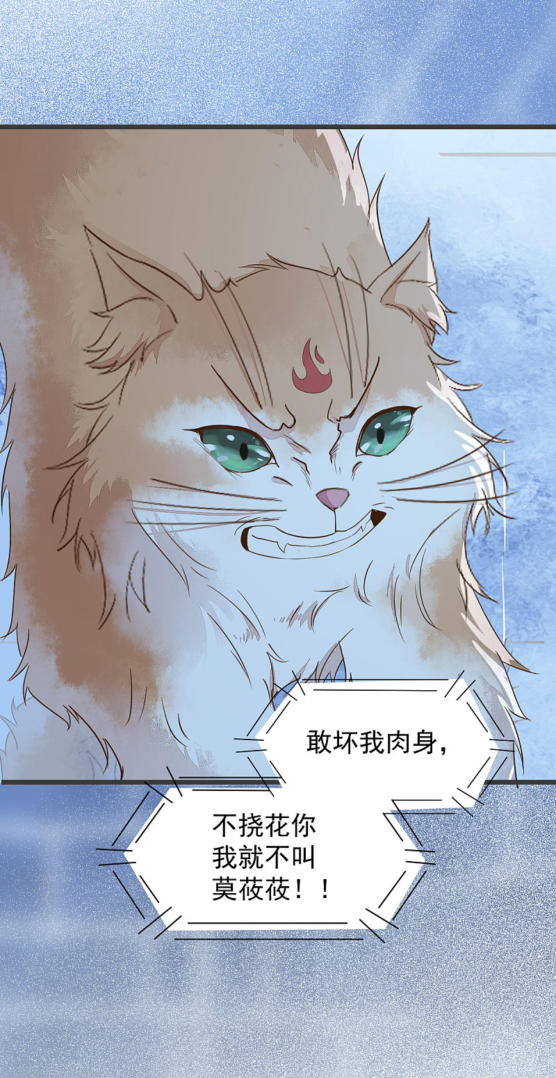 《杀手王妃不好惹》漫画最新章节51-莫莜莜肉身被毁免费下拉式在线观看章节第【24】张图片