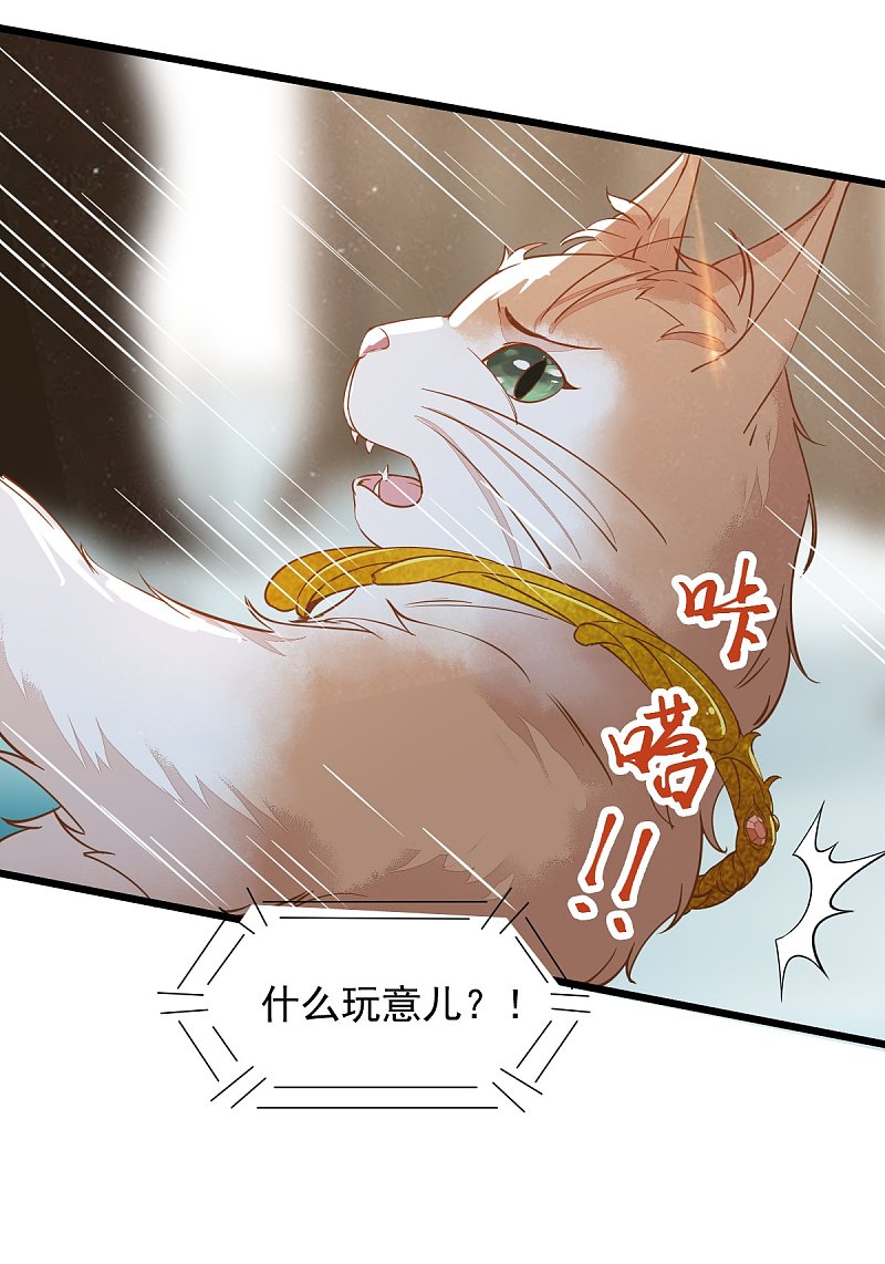 《杀手王妃不好惹》漫画最新章节57-她是我的猫免费下拉式在线观看章节第【25】张图片